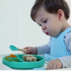 Sevira Kids Vaisselle Enfant Assiette Bébé Compartimentée à Ventouse -Vaisselle et accessoires de cuisine enfant Soldes assiette bebe compartimentee a ventouse 11