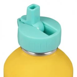 Draeger Paris Gourdes Enfant Et Boîtes à Goûter Gourde Inox Enfant - Chiens Skateurs -Vaisselle et accessoires de cuisine enfant Soldes gourde inox enfant chiens skateurs 2